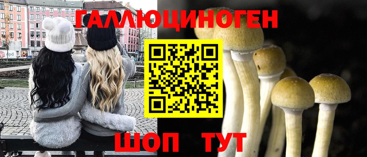 Галлюциногенные грибы Psilocybine cubensis Щёлково