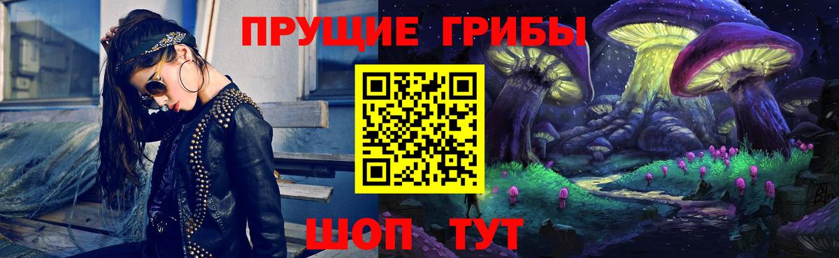 Щёлково  Псилоцибиновые грибы Psilocybe  Вход с VPN 
